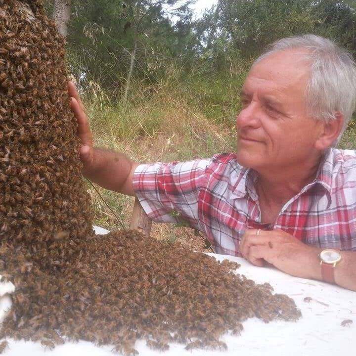 יוסי אוד מזמין אותכם למפגש היכרות אינטימי עם הדבורים ועם עולמן הקסום